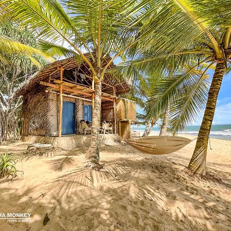 The Alpha Monkey Hotel & Tree House Tangalle Exterior photo