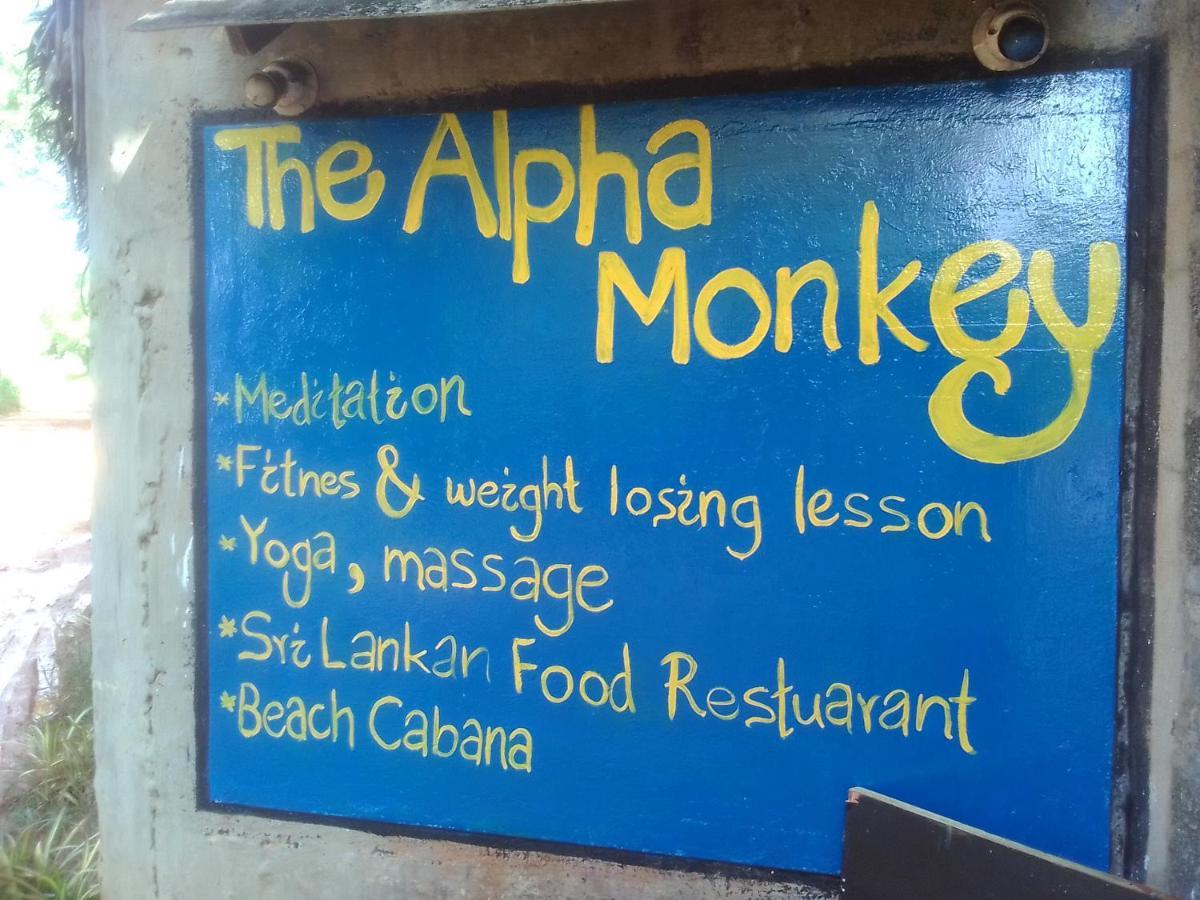 The Alpha Monkey Hotel & Tree House Tangalle Exterior photo