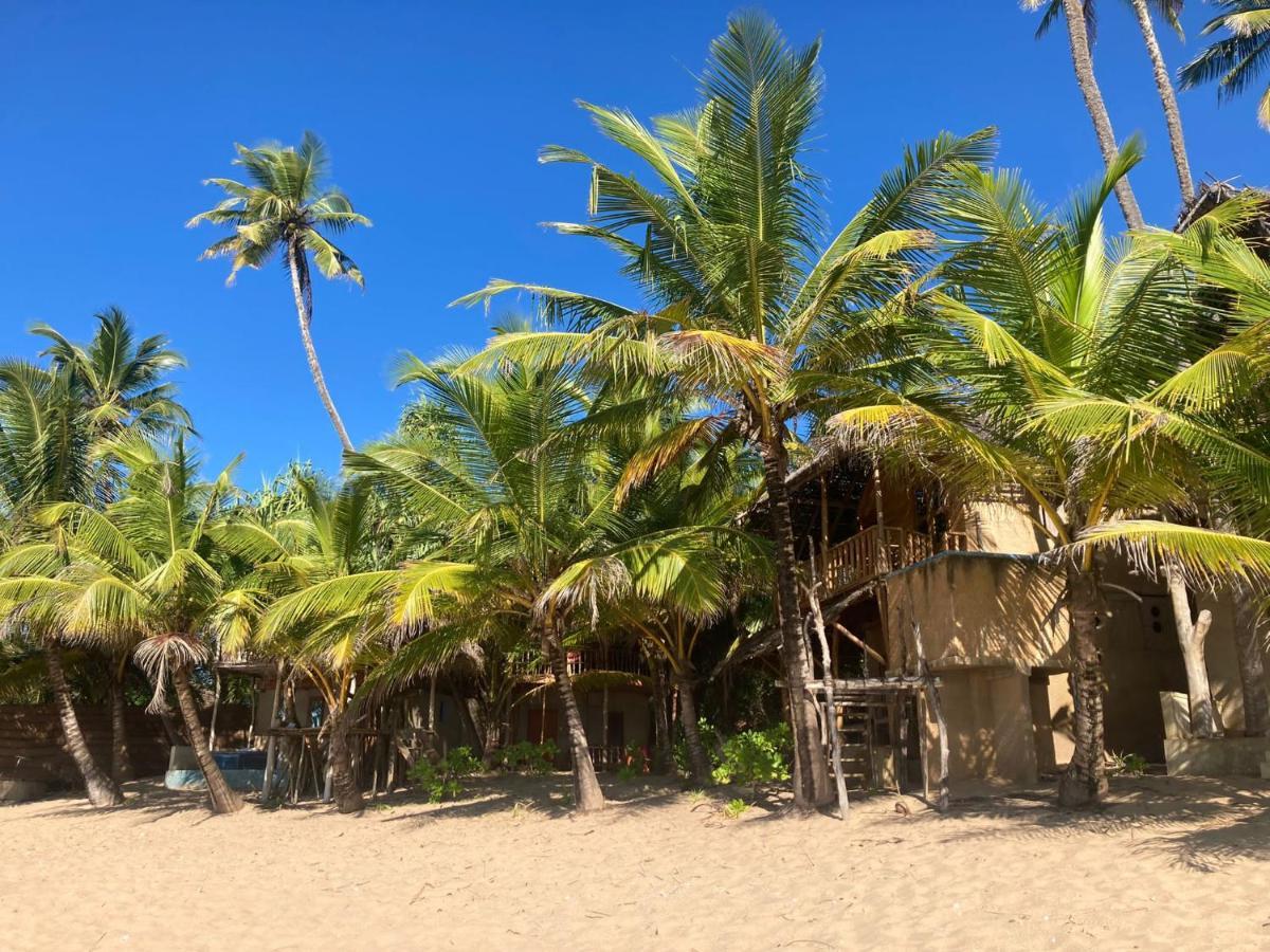 The Alpha Monkey Hotel & Tree House Tangalle Exterior photo