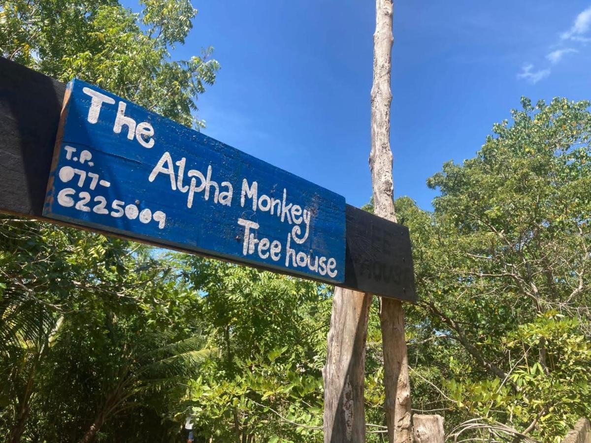The Alpha Monkey Hotel & Tree House Tangalle Exterior photo