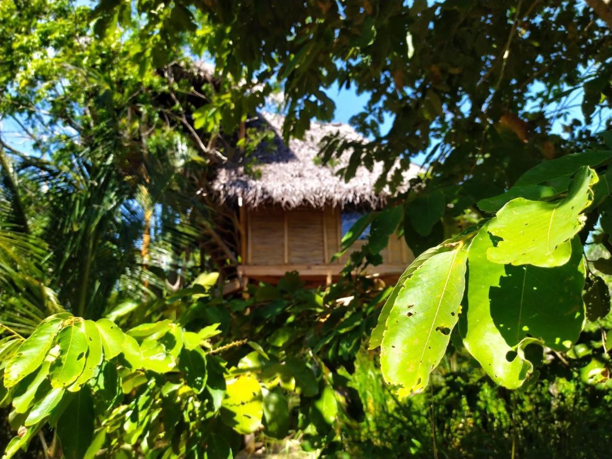 The Alpha Monkey Hotel & Tree House Tangalle Exterior photo