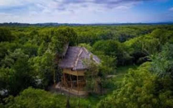 The Alpha Monkey Hotel & Tree House Tangalle Exterior photo