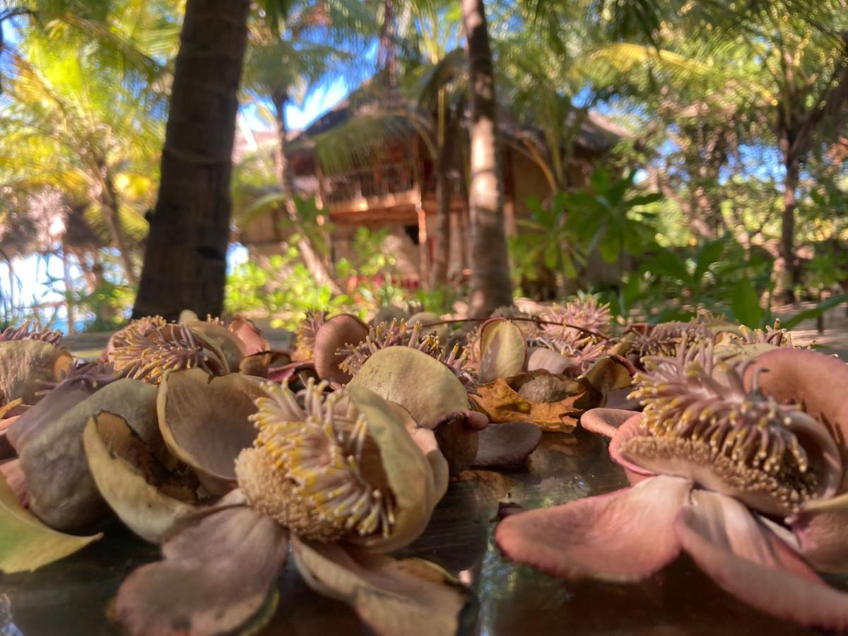 The Alpha Monkey Hotel & Tree House Tangalle Exterior photo