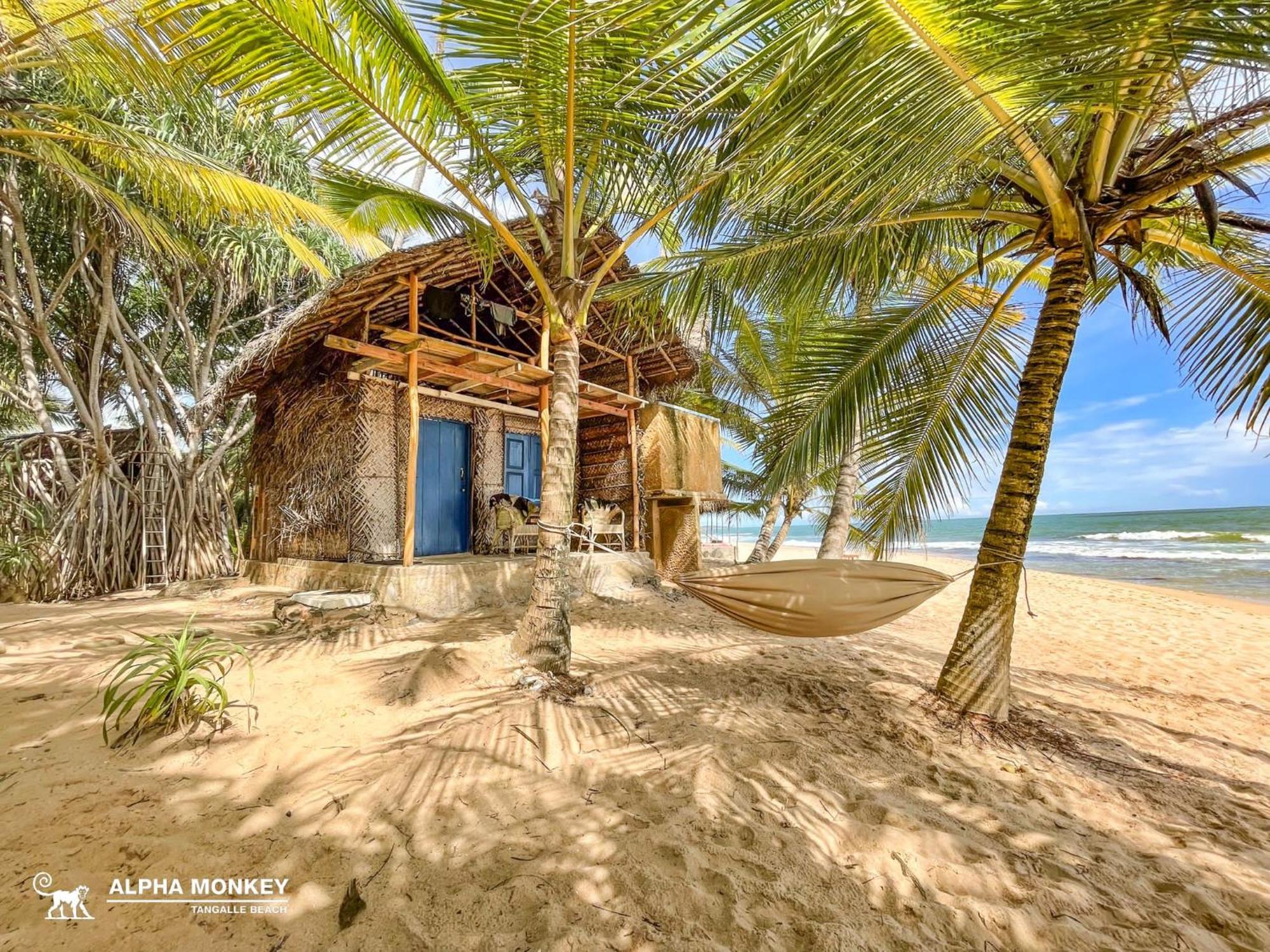 The Alpha Monkey Hotel & Tree House Tangalle Exterior photo