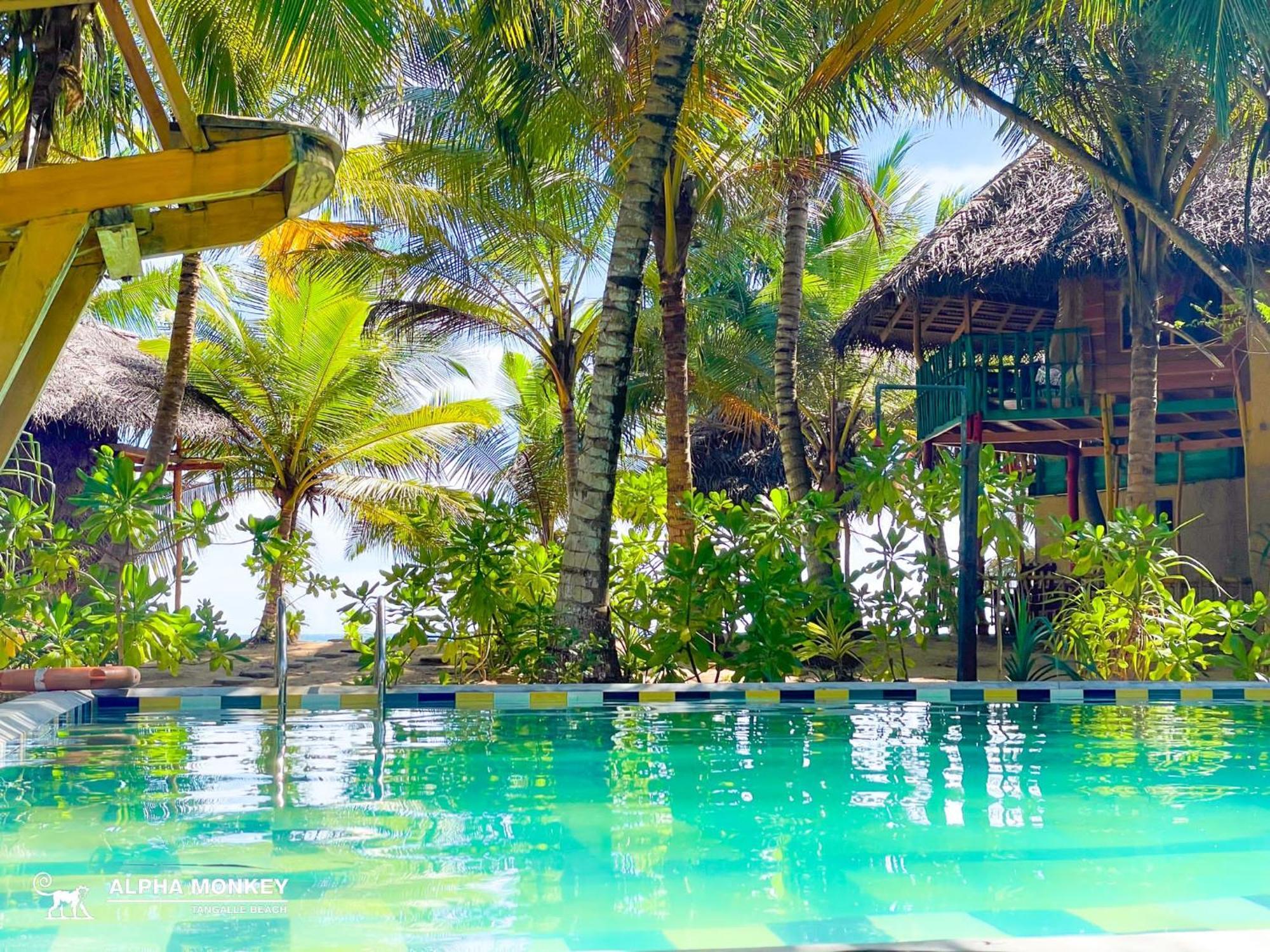 The Alpha Monkey Hotel & Tree House Tangalle Exterior photo