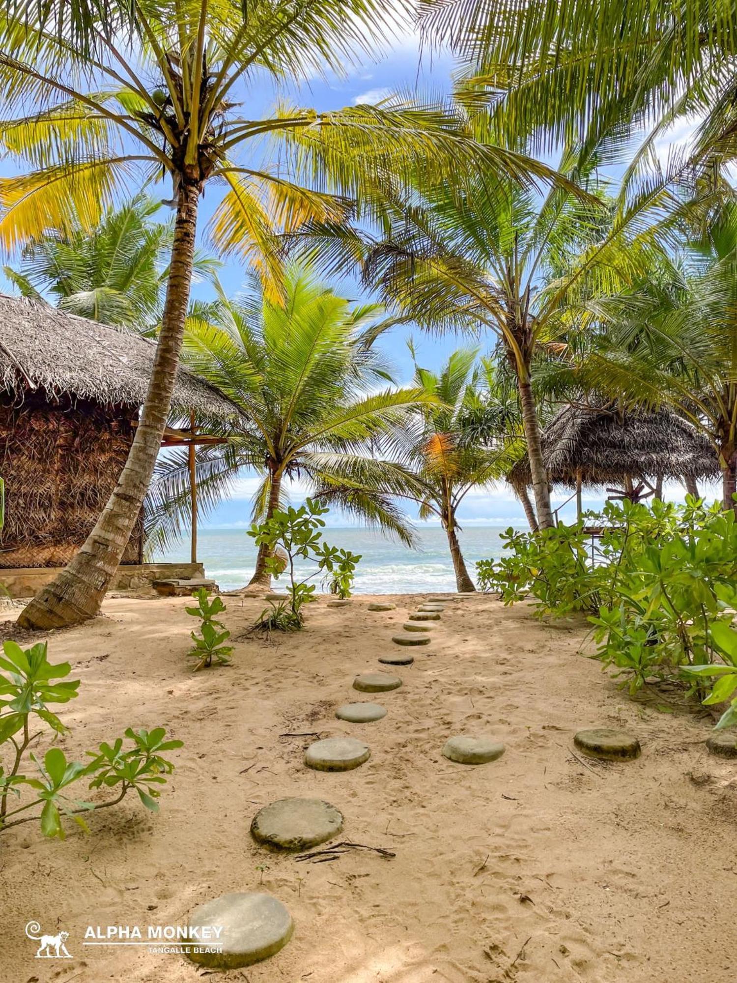 The Alpha Monkey Hotel & Tree House Tangalle Exterior photo