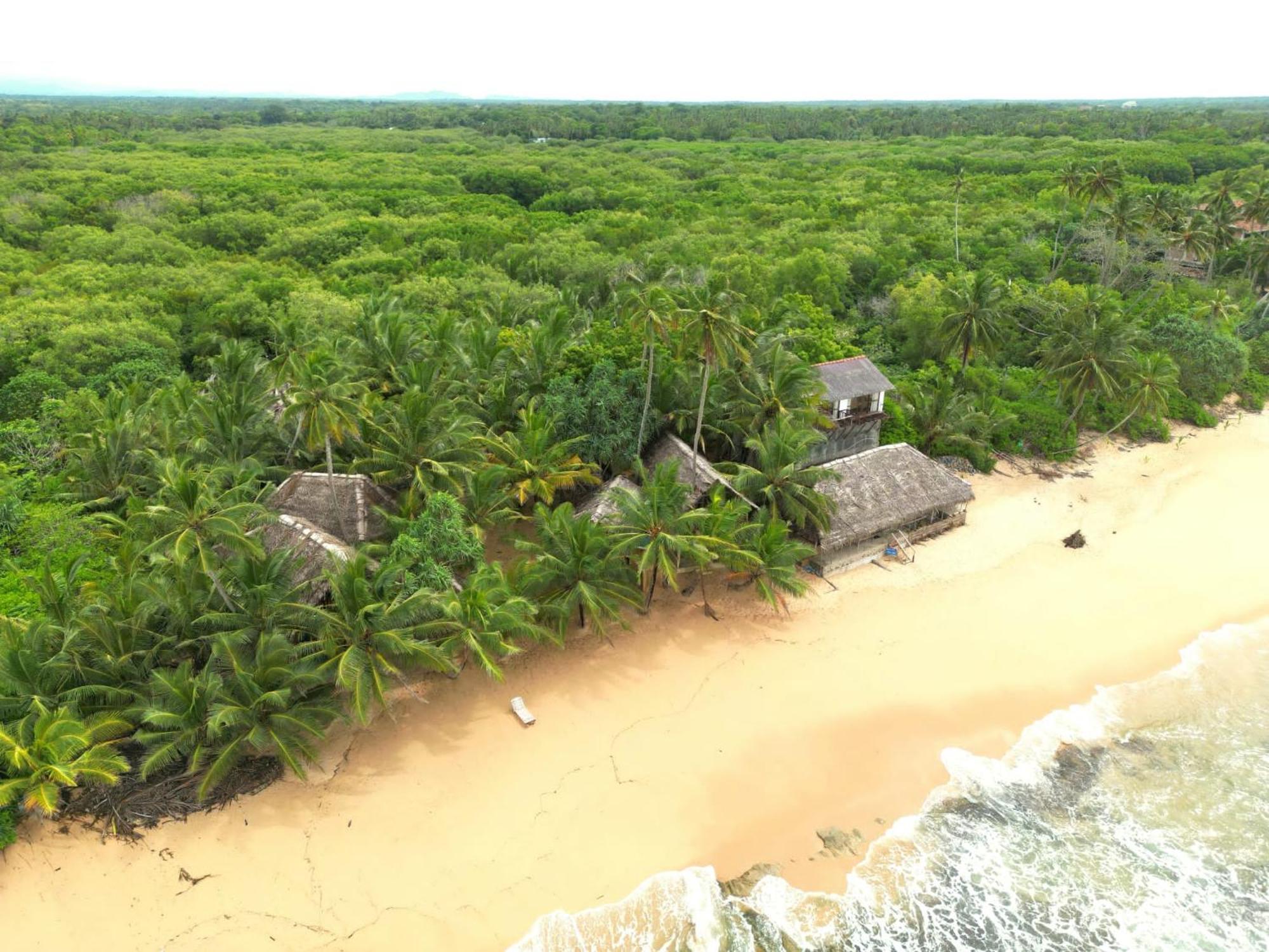 The Alpha Monkey Hotel & Tree House Tangalle Exterior photo