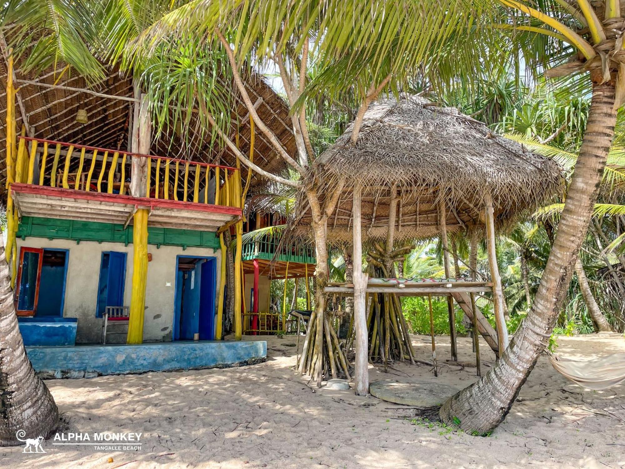 The Alpha Monkey Hotel & Tree House Tangalle Room photo
