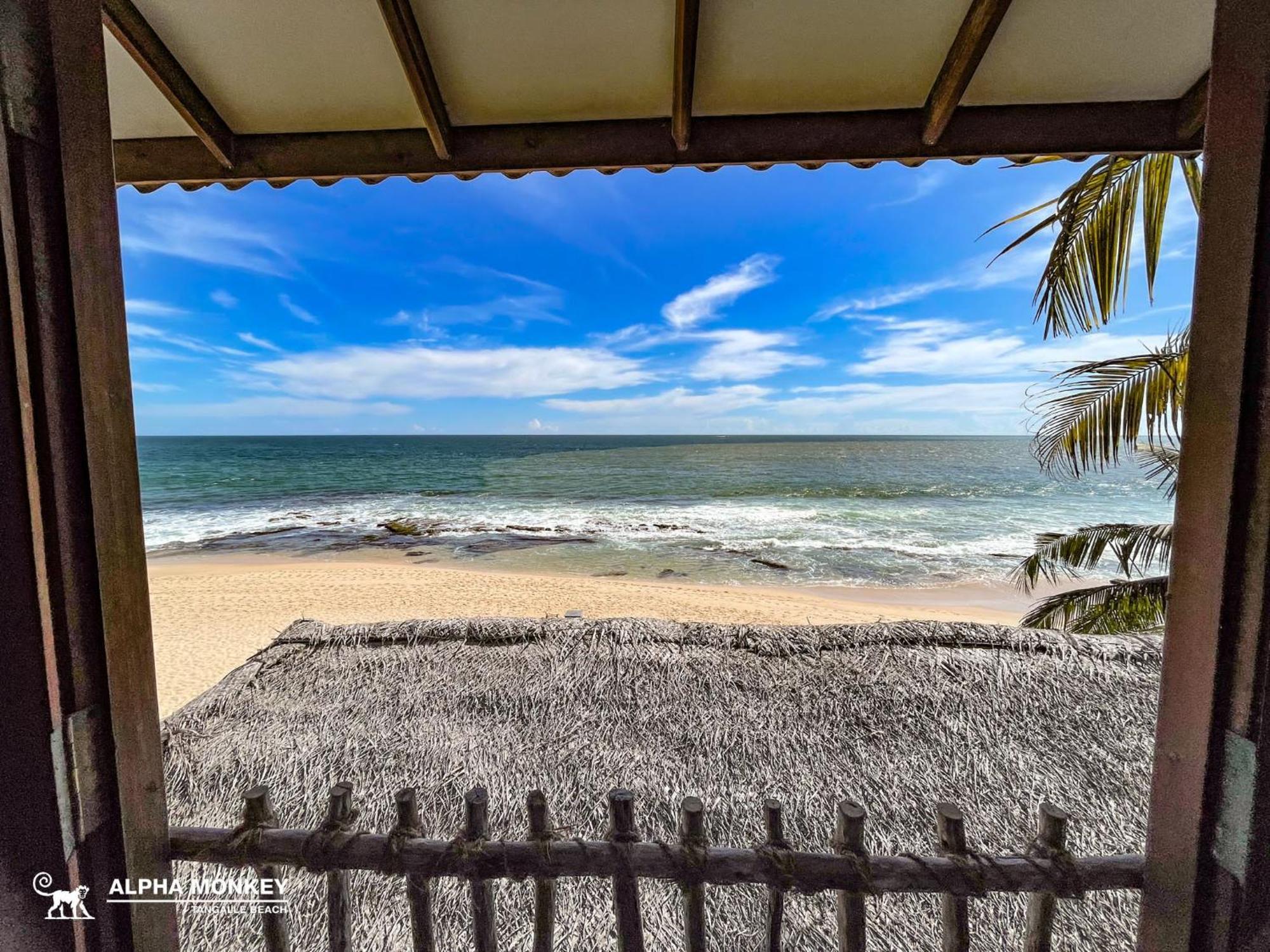 The Alpha Monkey Hotel & Tree House Tangalle Room photo