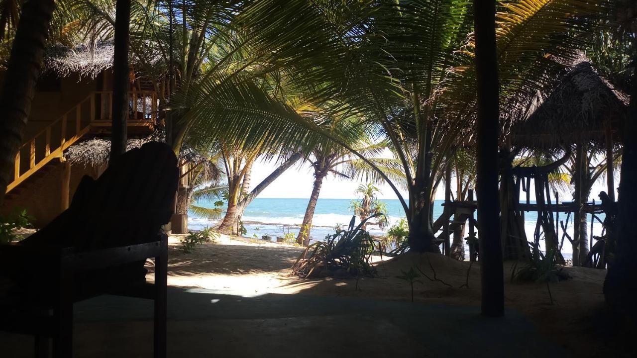 The Alpha Monkey Hotel & Tree House Tangalle Exterior photo