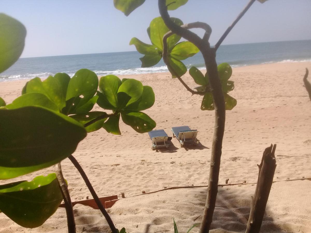 The Alpha Monkey Hotel & Tree House Tangalle Exterior photo